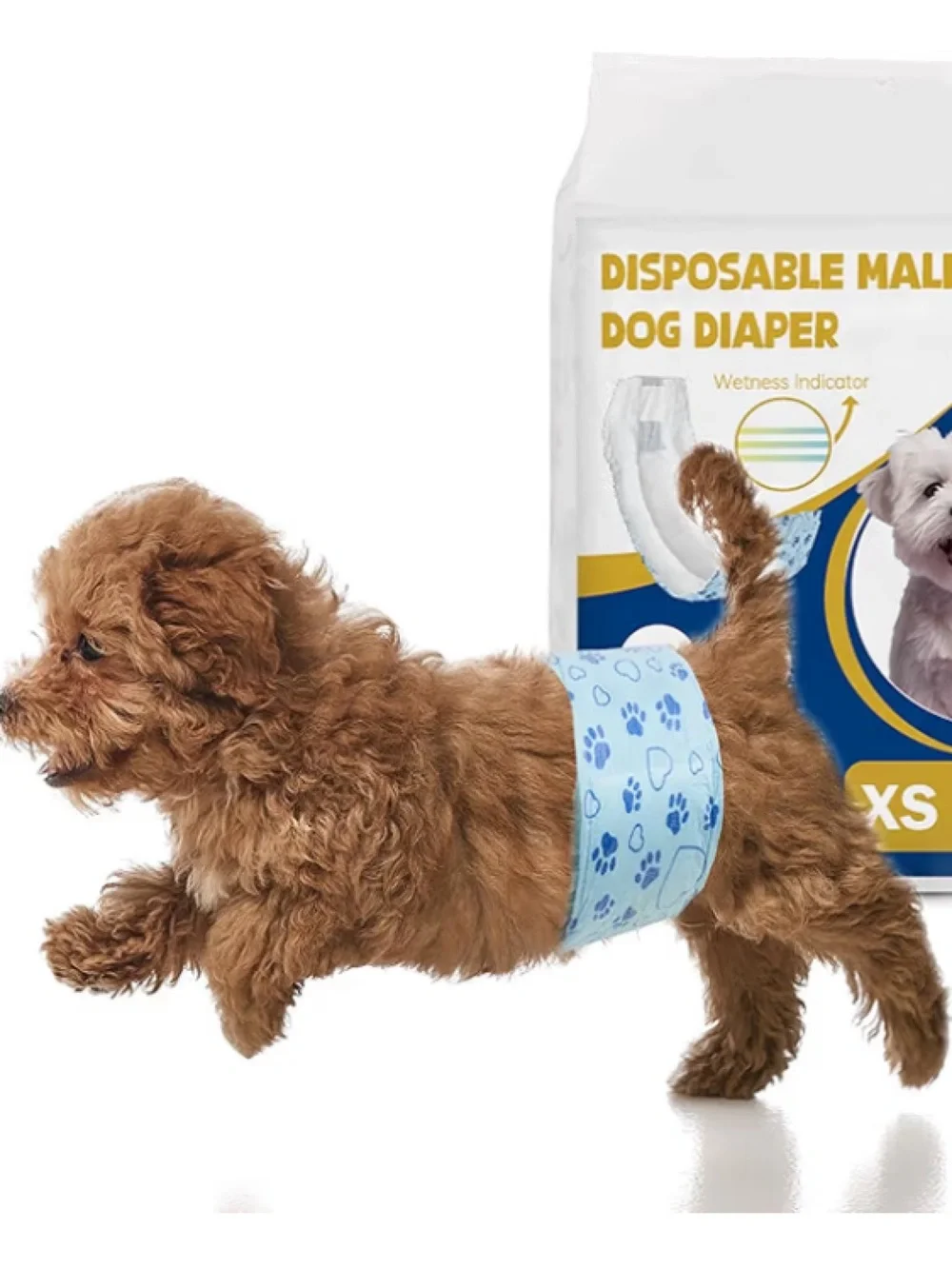 XS Disposable Male Dog Diaper - White/Blue
